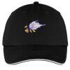 Washed Twill Sandwich Bill Cap Thumbnail