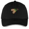 Washed Twill Sandwich Bill Cap Thumbnail