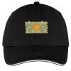 Washed Twill Sandwich Bill Cap Thumbnail