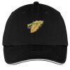 Washed Twill Sandwich Bill Cap Thumbnail