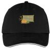 Washed Twill Sandwich Bill Cap Thumbnail
