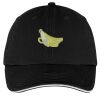 Washed Twill Sandwich Bill Cap Thumbnail
