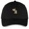 Washed Twill Sandwich Bill Cap Thumbnail