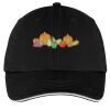 Washed Twill Sandwich Bill Cap Thumbnail