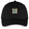 Washed Twill Sandwich Bill Cap Thumbnail