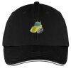 Washed Twill Sandwich Bill Cap Thumbnail