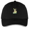 Washed Twill Sandwich Bill Cap Thumbnail