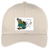 Easy Care Cap Thumbnail