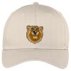 Easy Care Cap Thumbnail