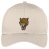 Easy Care Cap Thumbnail