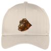 Easy Care Cap Thumbnail