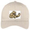 Easy Care Cap Thumbnail