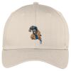 Easy Care Cap Thumbnail