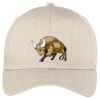 Easy Care Cap Thumbnail