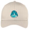 Easy Care Cap Thumbnail
