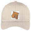 Easy Care Cap Thumbnail