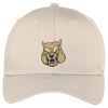 Easy Care Cap Thumbnail