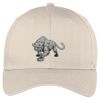 Easy Care Cap Thumbnail