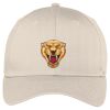Easy Care Cap Thumbnail