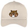 Easy Care Cap Thumbnail