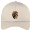 Easy Care Cap Thumbnail