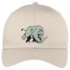 Easy Care Cap Thumbnail