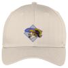Easy Care Cap Thumbnail