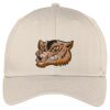 Easy Care Cap Thumbnail