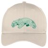 Easy Care Cap Thumbnail