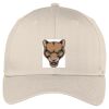 Easy Care Cap Thumbnail