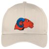 Easy Care Cap Thumbnail