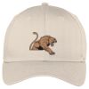 Easy Care Cap Thumbnail