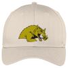 Easy Care Cap Thumbnail