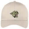Easy Care Cap Thumbnail