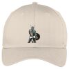 Easy Care Cap Thumbnail
