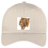 Easy Care Cap Thumbnail