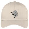 Easy Care Cap Thumbnail