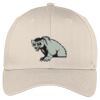 Easy Care Cap Thumbnail