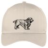 Easy Care Cap Thumbnail