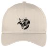 Easy Care Cap Thumbnail