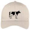 Easy Care Cap Thumbnail