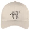 Easy Care Cap Thumbnail