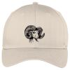 Easy Care Cap Thumbnail