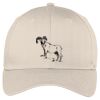 Easy Care Cap Thumbnail