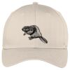 Easy Care Cap Thumbnail