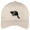 Easy Care Cap Thumbnail