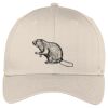 Easy Care Cap Thumbnail