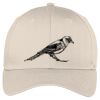 Easy Care Cap Thumbnail