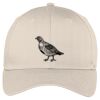 Easy Care Cap Thumbnail