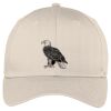 Easy Care Cap Thumbnail